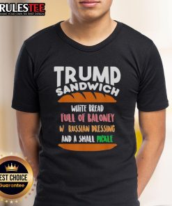 Alt Text: Funny Trump Sandwich graphic on a free DC anti-Trump sarcastic T-shirt, perfect for political humor fans.