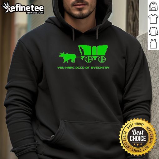 Funny You Have Died of Dysentery Hoodie featuring retro gaming design, perfect for gamers and humor lovers.