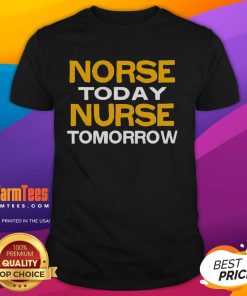 Alt Text: Good Norse Today Nurse Tomorrow T-Shirt featuring bold text design for nurses and Norse mythology enthusiasts.