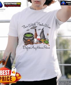Good Witch Cauldron Wine Glass And Potion Halloween Drinking T-Shirt