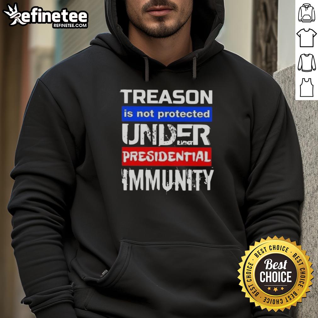 Hot Treason Is Not Protected Under Presidential Immunity Hoodie