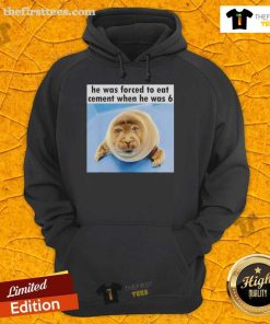 Alt Text: Cute seal wearing a hoodie, recalling his silly past of being forced to eat cement at age 6.