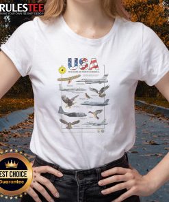 Nice USA Planes Wildlife of North America Birds of Prey Ladies Tee featuring majestic birds in flight design.