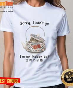 Indoor cat hiding in a tea set, showcasing the 'Sorry I Can't Go, I'm an Indoor Cat' ladies tee design.
