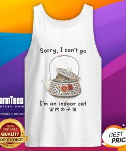 Indoor cat hiding in a tea set, wearing a tank top that says 'Sorry, I can't go, I'm an indoor cat.'