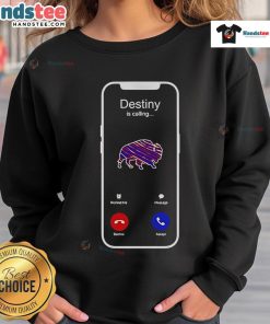 Alt Text: Official Destiny Is Calling Buffalo Bills Sweatshirt featuring team colors and logo, perfect for fans and game day.