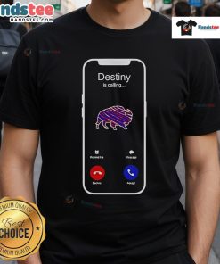 Official Destiny Is Calling Buffalo Bills T-Shirt featuring team logo and vibrant design for fans and gamers.
