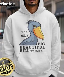 Official Stork hoodie featuring 'The Only Big Beautiful Bill We Need' design, perfect for stylish comfort and casual wear.