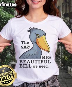 Official Stork Ladies Tee featuring 'The Only Big Beautiful Bill We Need' design, perfect for casual stylish wear.