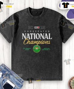 Official Vermont Green FC Undefeated National Champions 2025 washed t-shirt in vibrant green, perfect for fans.