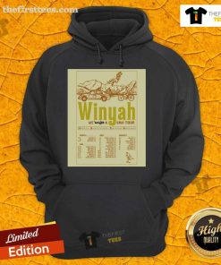 Alt Text: Official Winyah Summer 2025 Tour poster featuring 'We Bought A Van' design on a stylish hoodie.