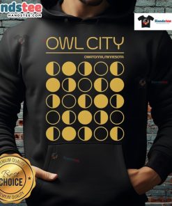 Original Owl City Owatonna Minnesota hoodie featuring a unique design, perfect for fans and cozy wear.
