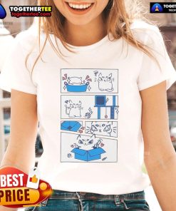 Alt Text: Original The Cat And His Love Of The Box Ure Cute Ladies Tee featuring a playful cat in a box design.