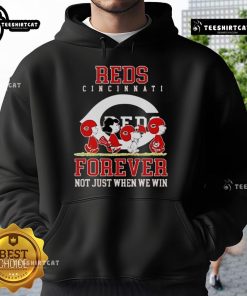 Premium Peanuts Charlie Brown Snoopy Cincinnati Reds hoodie, celebrating baseball fandom, perfect for all fans, win or lose.