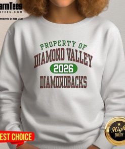 Premium Property of Diamond Valley Diamondbacks 2026 sweatshirt featuring team logo and vibrant colors, perfect for fans.