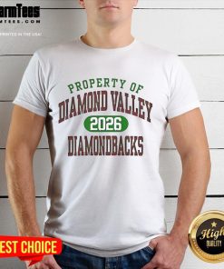 Premium Property of Diamond Valley Diamondbacks 2026 T-Shirt showcasing team pride and stylish design for fans.