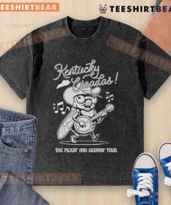 Alt Text: Premium Kentucky Cicadas Tour washed t-shirt featuring a vintage design, perfect for summer outings and music events.