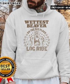 Person wearing a Pretty Wettest Beaver on the Amusement Park Log Ride hoodie, smiling on a fun amusement ride.