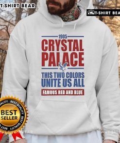 Top Crystal Palace Soccer EPL hoodie in red and blue, celebrating team spirit since 1905, perfect for fans.
