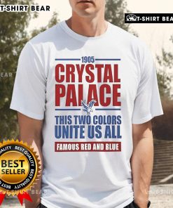 Top Crystal Palace Soccer EPL T-shirt in red and blue, celebrating unity since 1905, perfect for fans of the team.