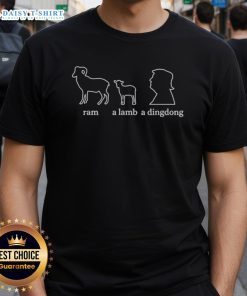 Top Ram A Lamb A Dingdong Trump T-Shirt featuring a bold graphic design and vibrant colors for political humor lovers.
