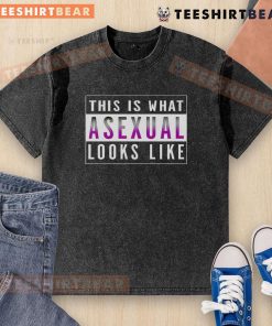 Alt Text: Asexual pride washed t-shirt featuring a bold design, showcasing the asexual flag colors creatively.