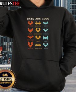 Awesome hoodie featuring different kinds of bats and a chiropterologist design, celebrating the coolness of bats.