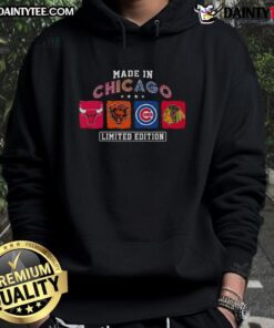 Stylish Bulls, Bears, Cubs, and Blackhawks hoodie showcasing Chicago sports pride and craftsmanship. Perfect for fans!