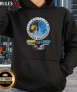 Awesome Michigan Wolverines Saturdays and Detroit Lions Sundays hoodie featuring helmets and skyline design.