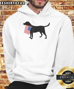 Patriotic dog wearing an American flag hoodie for Fourth of July, perfect for pet lovers celebrating USA.