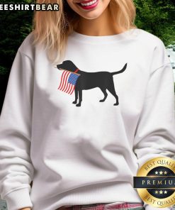 Patriotic dog wearing an American flag sweatshirt for Fourth of July, perfect for USA pet lovers celebrating Independence Day.