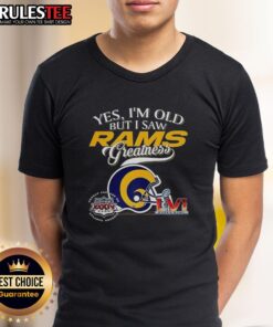 Alt Text: Los Angeles Rams Super Bowl helmet skyline graphic on a T-shirt, celebrating vintage NFL greatness and fan pride.