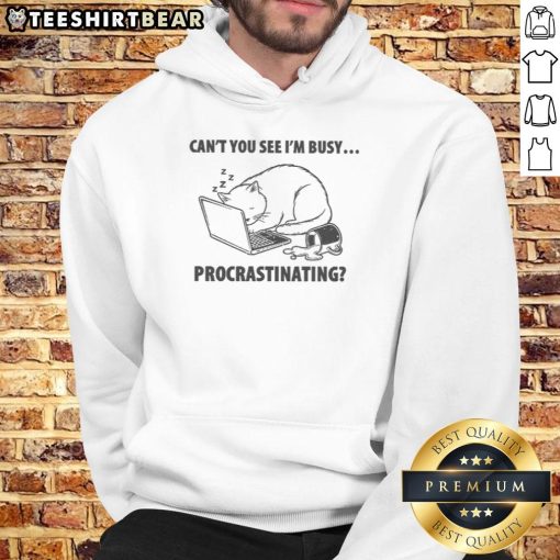 Funny cat hoodie featuring a playful design with 'Can't you see I'm busy procrastinating' text for cat lovers.