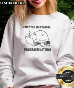 Funny cat graphic on a sweatshirt with the text Can't you see I'm busy procrastinating? perfect for cat lovers.