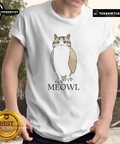 Funny Cute Cat Owl T-Shirt featuring a playful cat and owl design in vibrant colors, perfect for animal lovers.