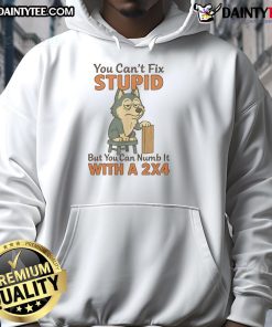 Funny Husky wearing a hoodie that says You Can't Fix Stupid, But You Can Numb It With A 2x4, showcasing humor and charm.