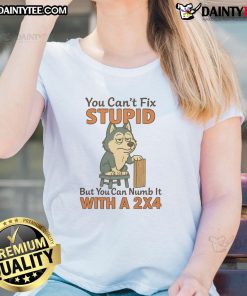 Funny Husky graphic on a ladies tee with the phrase 'You Can't Fix Stupid But You Can Numb It With A 2x4'.