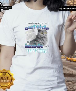 Alt Text: Funny cat ladies tee featuring 'I May Be Quiet On The Outside But On The Inside I Am Streaming' design.