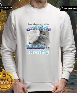 Alt Text: Funny cat sweatshirt: 'I may be quiet on the outside but on the inside, I am streaming' with a playful cat graphic.