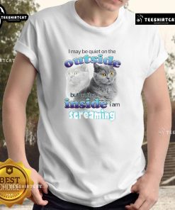Funny I May Be Quiet On The Outside But On The Inside I Am Streaming Cat T-Shirt design featuring a playful cat graphic.