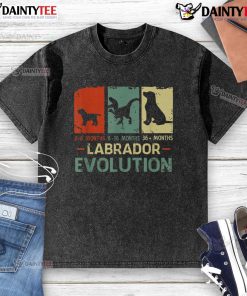 Alt Text: Funny Labrador evolution graphic on a washed T-shirt for dog lovers, featuring playful puppy illustrations.