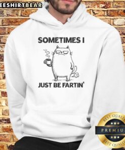 Alt Text: Funny Sometimes I Just Be Fartin Fartin Cat Chronicles Hoodie featuring a playful cat design and humorous text.