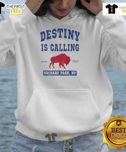 Good-Buffalo-Bills-Destiny-Is-Calling-Orchard-Park-NY-Hoodie