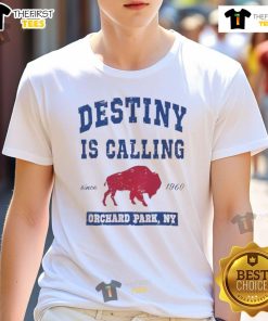 Good Buffalo Bills Destiny Is Calling Orchard Park Ny T-Shirt
