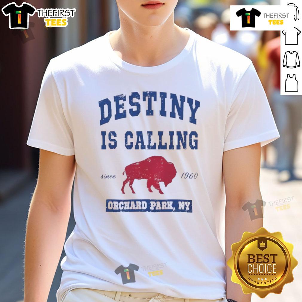 Good Buffalo Bills Destiny Is Calling Orchard Park Ny T Shirt Good Buffalo Bills Destiny Is Calling Orchard Park Ny T-Shirt