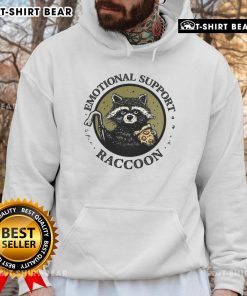 Cozy Good Emotional Support Raccoon Hoodie featuring a cute raccoon design, perfect for comfort and warmth.