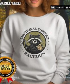 Cozy Good Emotional Support Raccoon sweatshirt featuring a cute raccoon graphic, perfect for animal lovers and comfort seekers.