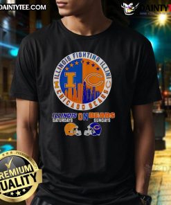 Good Illinois Fighting Illini on Saturdays, Chicago Bears on Sundays skyline t-shirt featuring team logos and city skyline.