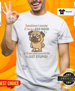 Good Pug 'Bad Mood or Stupid People' T-Shirt featuring a humorous design with a pug illustration, perfect for dog lovers.