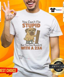 Alt Text: Funny 'Good Pug' t-shirt with quote: 'You can't fix stupid, but you can numb it with a 2x4' featuring a cute pug graphic.